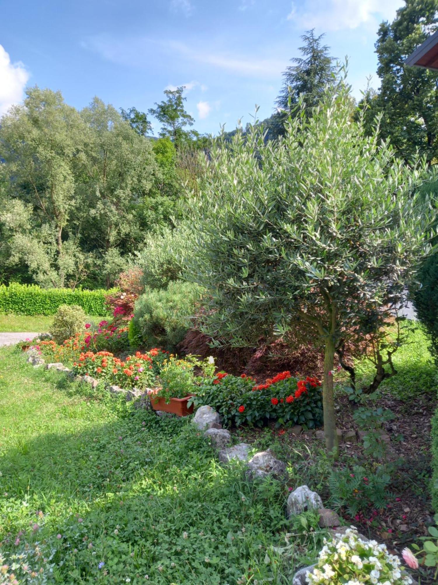 Somendenna Casa Vacanze Tania מראה חיצוני תמונה